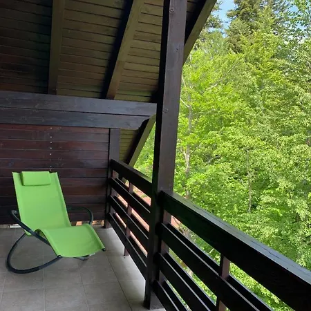 Relaxing Balcony Sinaia