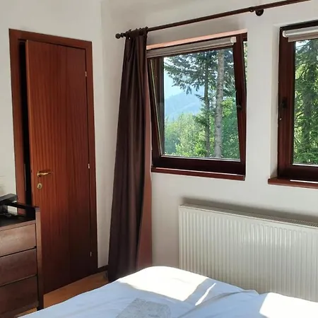 Apartman Relaxing Balcony Sinaia