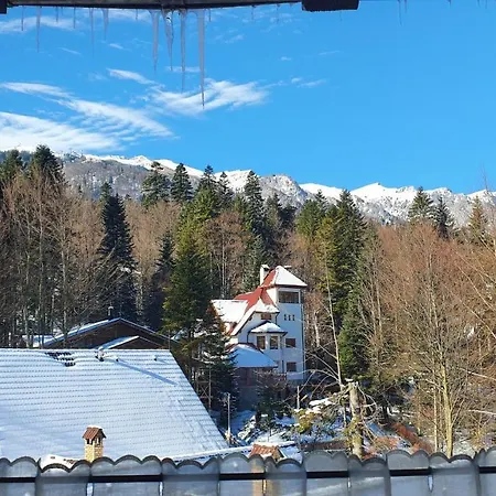 Relaxing Balcony Apartman Sinaia