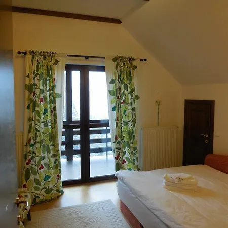 Relaxing Balcony Sinaia