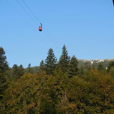 Relaxing Balcony Sinaia